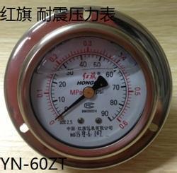 YTN -Z 轴向抗震压力表